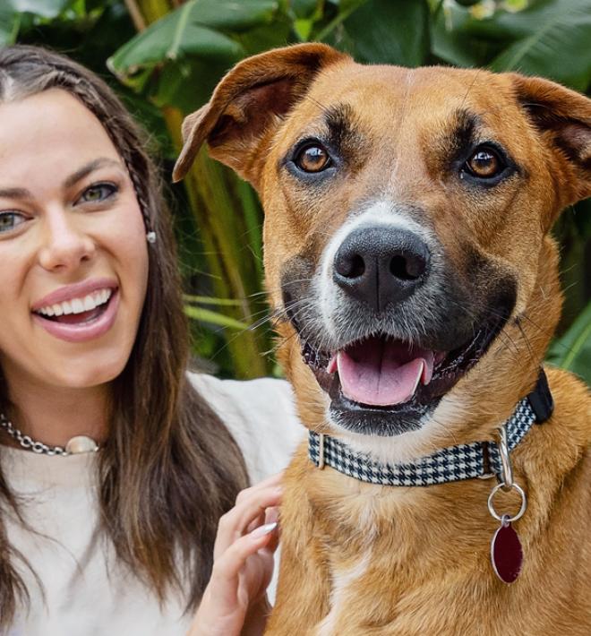 Smiling brown dog being hugged by happy woman