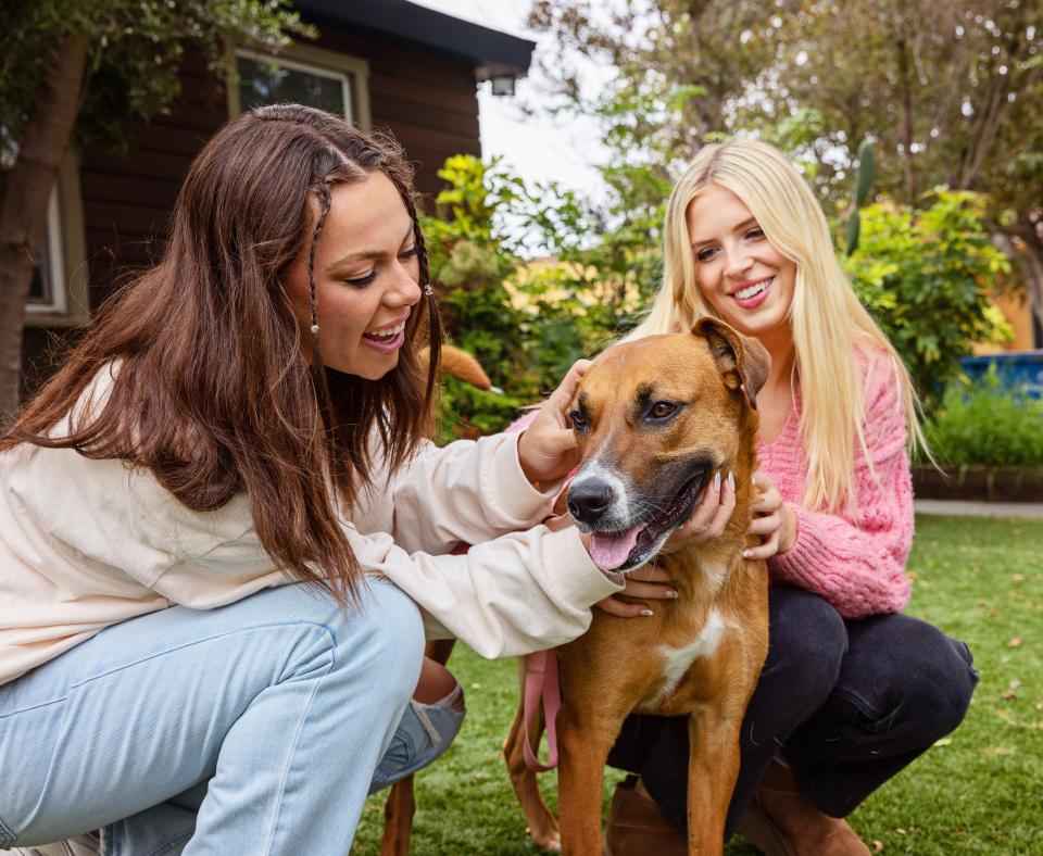 Two smiling people on a lawn next to a dog they're petting