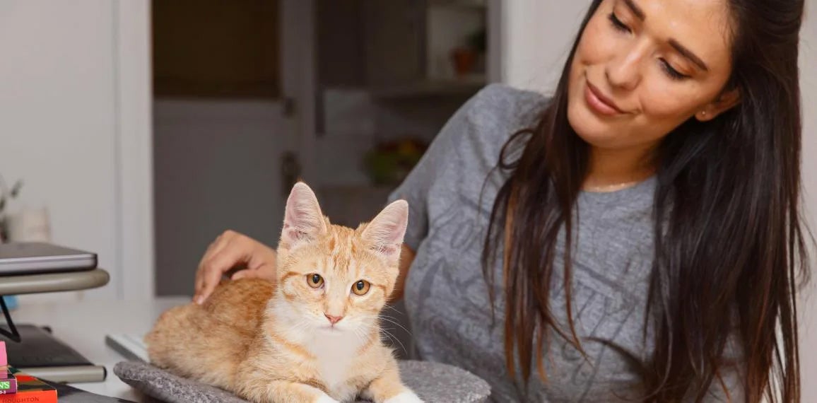 Smiling person holding a tiny orange kitten