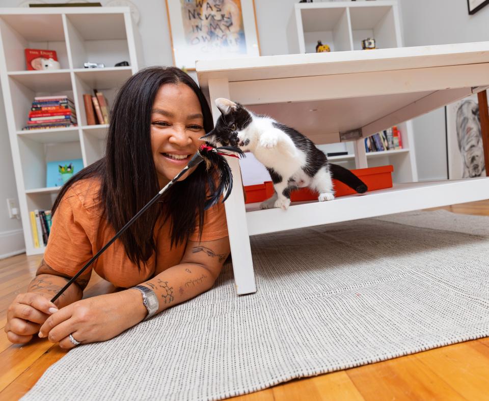 Person playing with a tiny kitten in a home