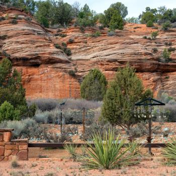 Peaceful scene in red rock desert