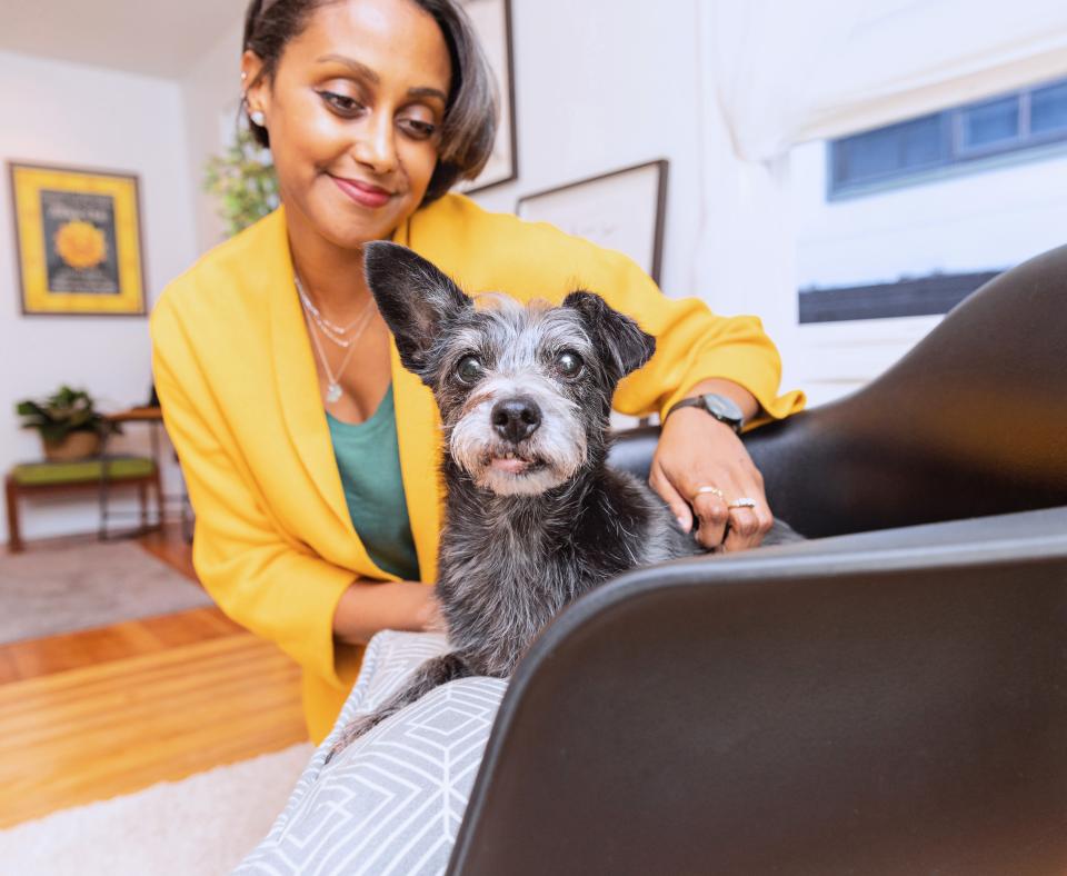 Person smiling at a dog sitting in a chair