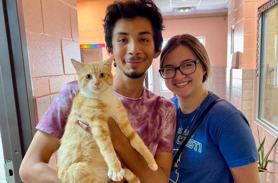 Two smiling people standing together while holding a cat