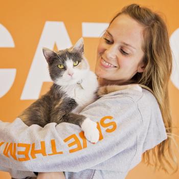 Woman holding cat wearing Best Friends Save Them All hoodie