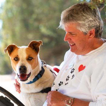 Person sitting next to a dog in a golf cart