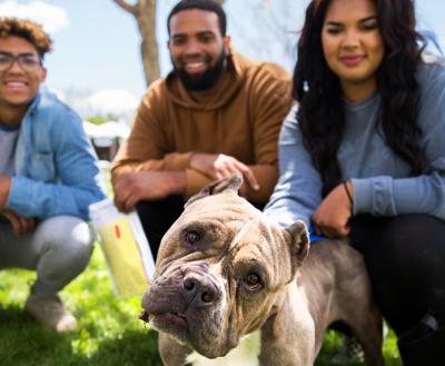 Three people sitting with a dog outside in a grassy area