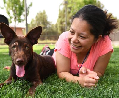 Person in grass with happy dog