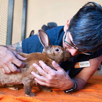 Person snuggling with a bunny on the ground