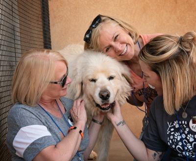 Three women with a white fluffy dog