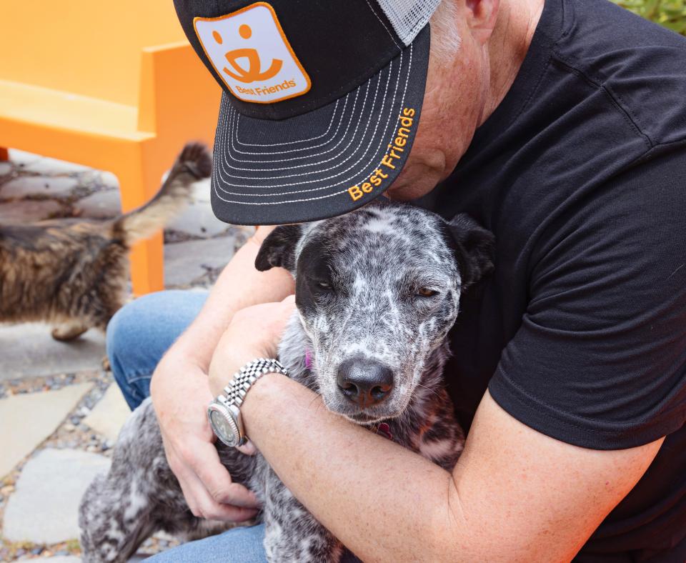 Person wearing Best Friends gear while hugging a dog