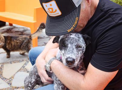 Person leaning down to hug a dog