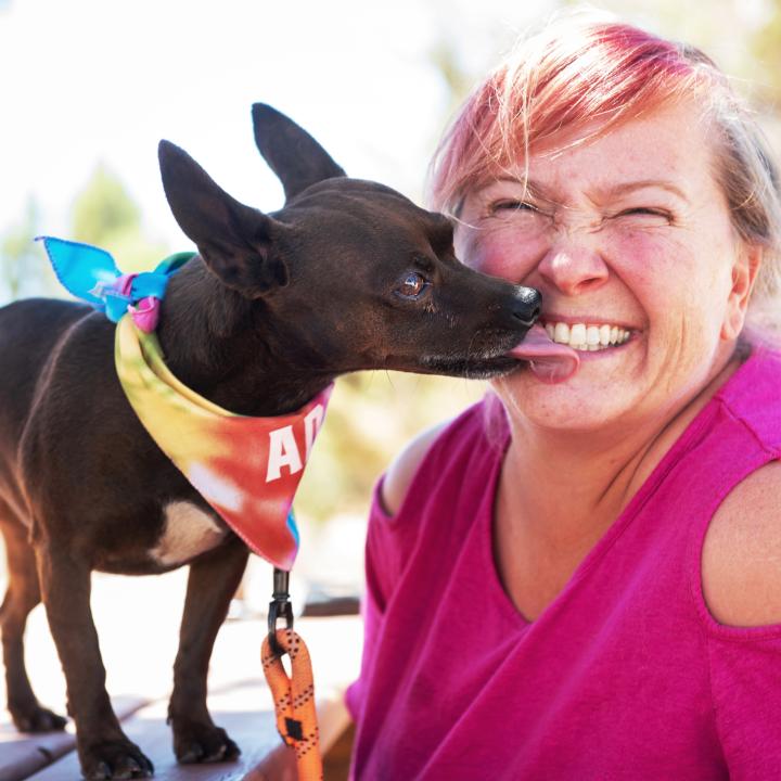 Small dog licking a happy person's face