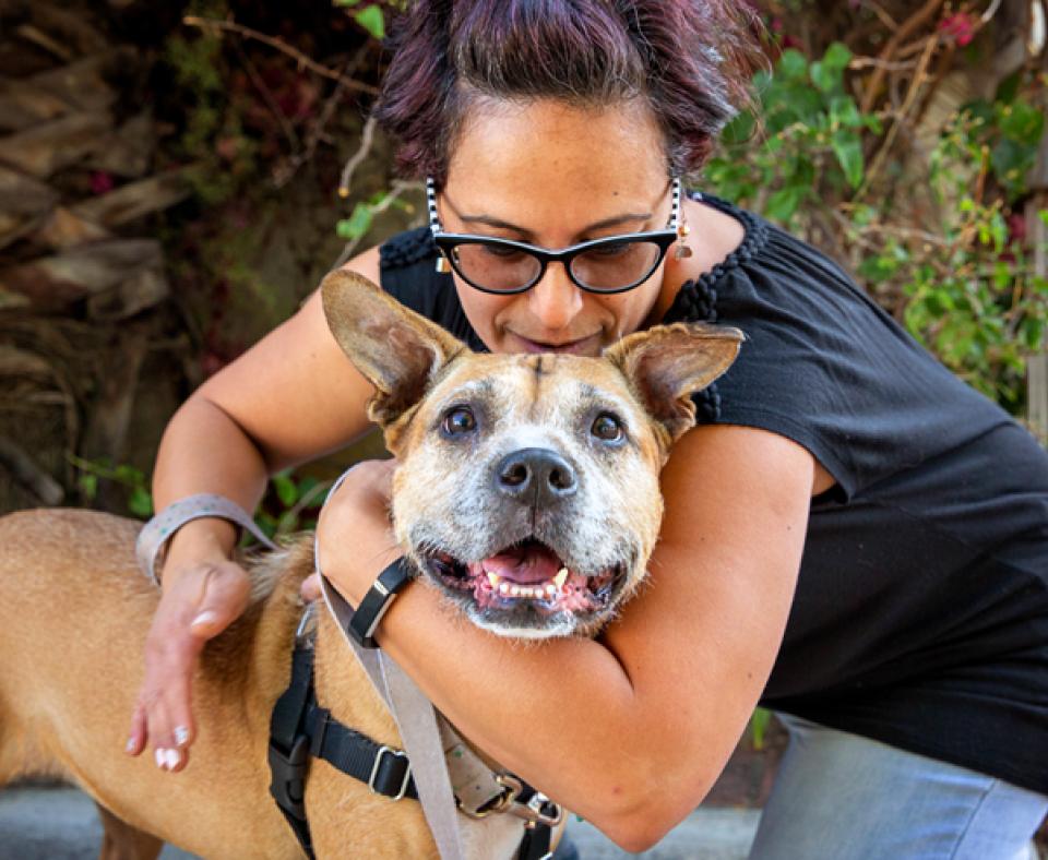 Person hugging a happy looking dog