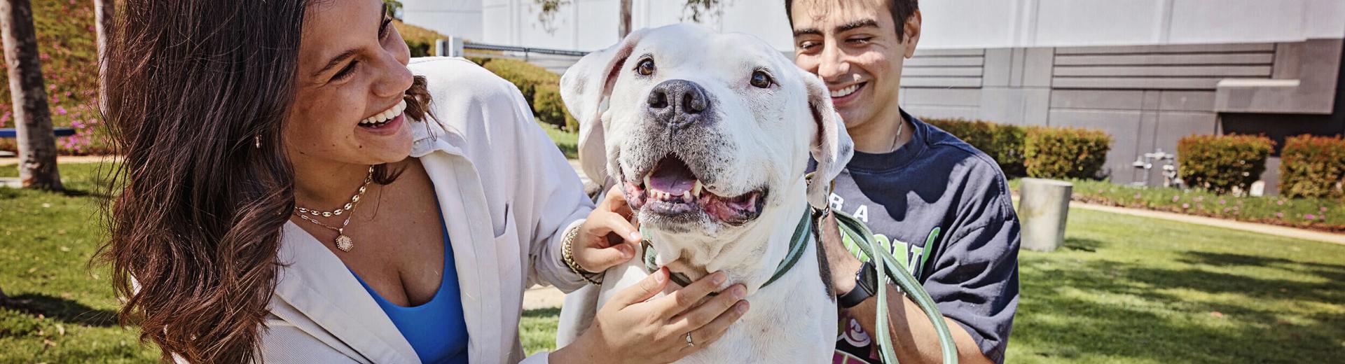 Smiling couple outside petting a large white dog