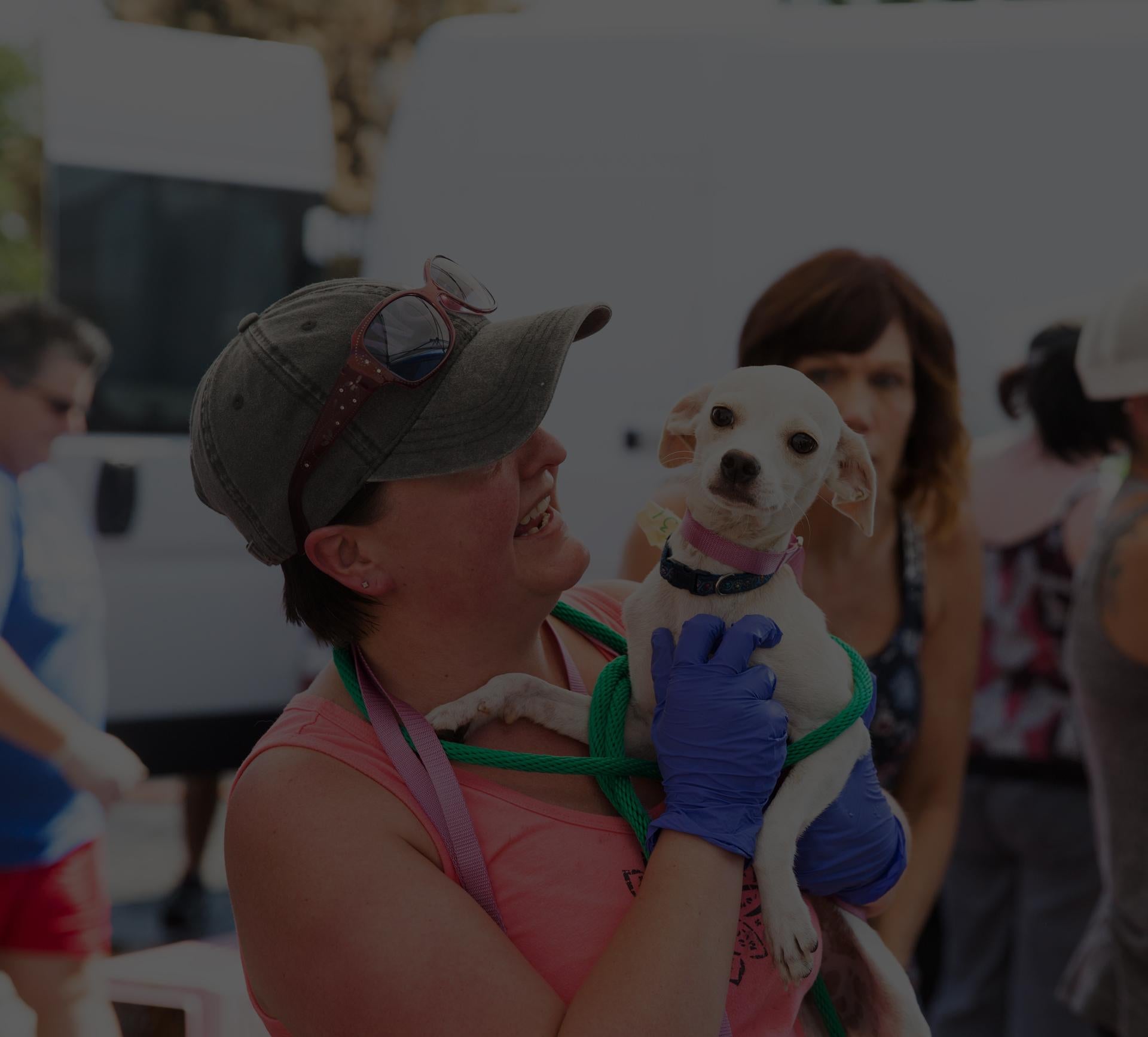 Person holding a small adoptable dog during a lifesaving pet transprot