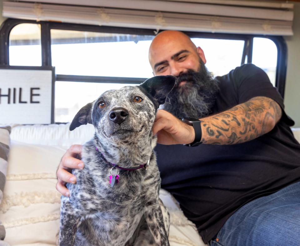 Smiling man sitting next to and petting a happy black and white spotted dog