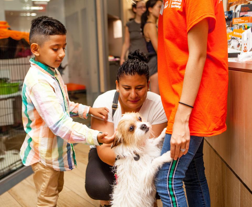 Happy family adopting a small dog from a Best Friends lifesaving center