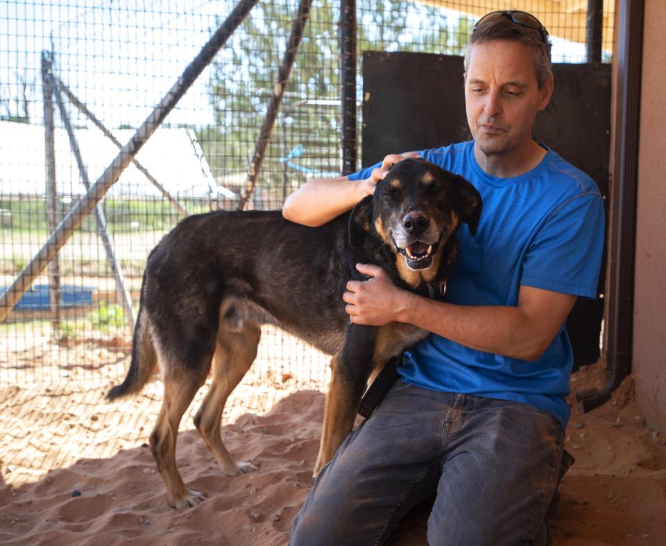 Person kneeling down next to a dog and petting the dog