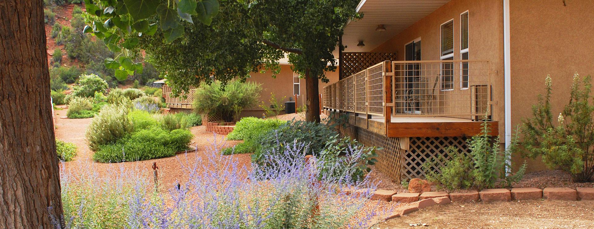 Small cottage in the Utah desert surround by purple flowers and red rocks