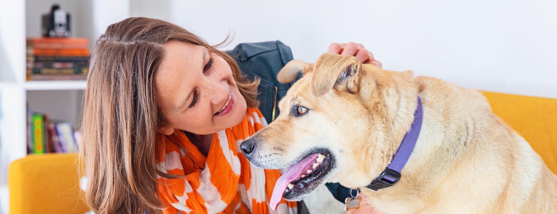 Person smiling at their dog while patting the dog on its head