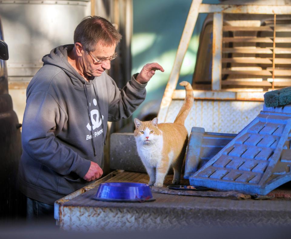 Person caring for a cat outdoors