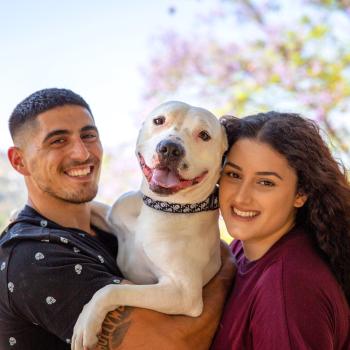 Two smiling people standing together outside while holding their dog