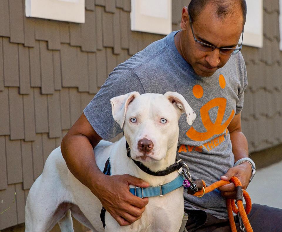 Person kneeling down next to a dog on a sidewalk