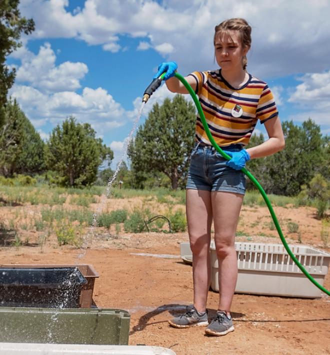 Woman using hose to clean crates