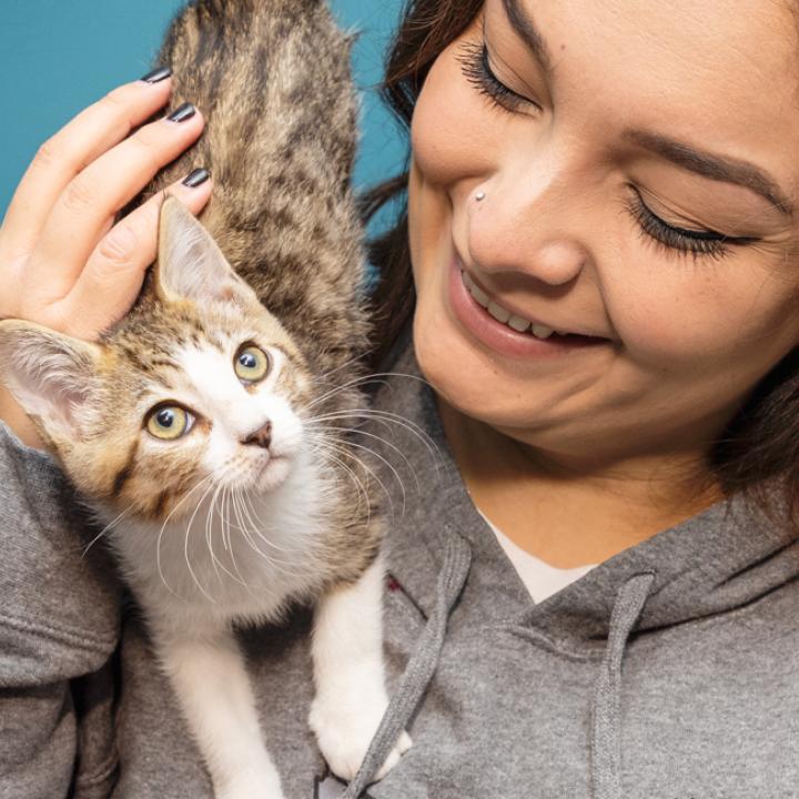 Woman holding tabby and white cat on shoulder