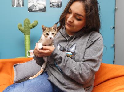 Person looking at the small kitten they're holding