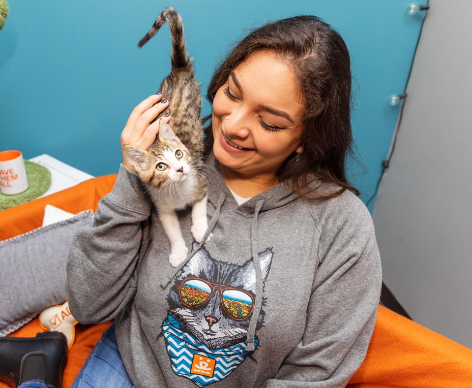 Smiling person petting a tiny kitten on their shoulder