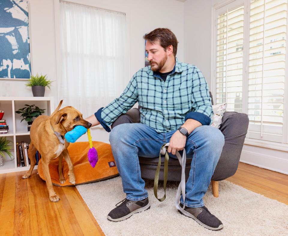 Person playing with a dog in a living room