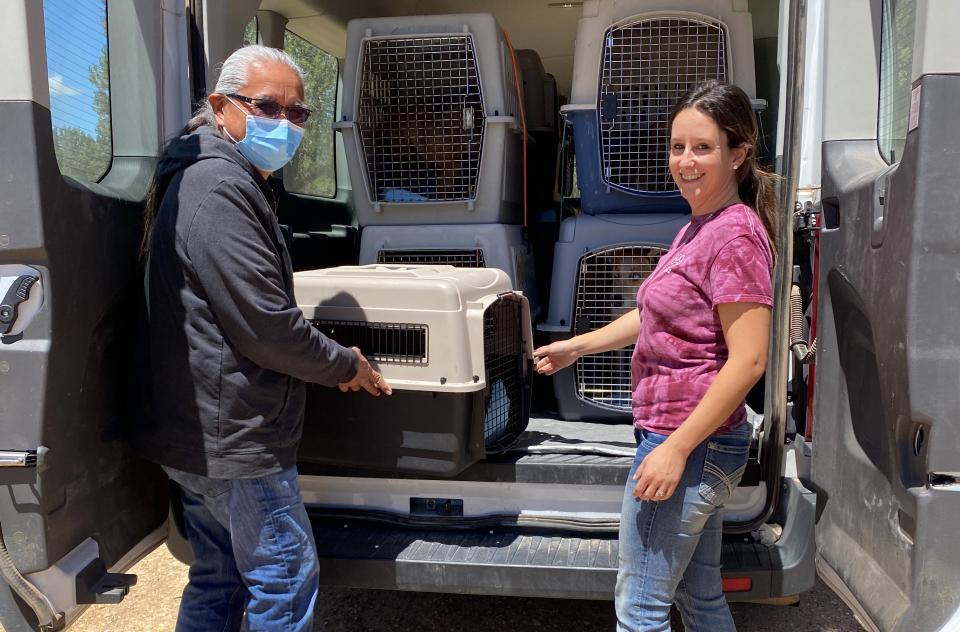 Two people unloading pet crates from the back of a large vehicle