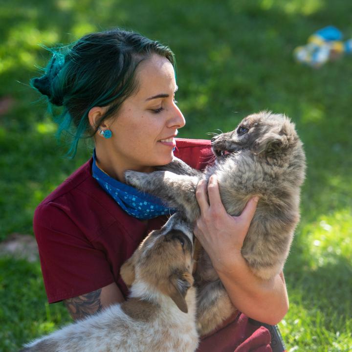 Person holding a puppy outside on green grass