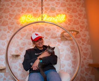 Smiling person holding a cat in a modern chair in front of cat wallpaper