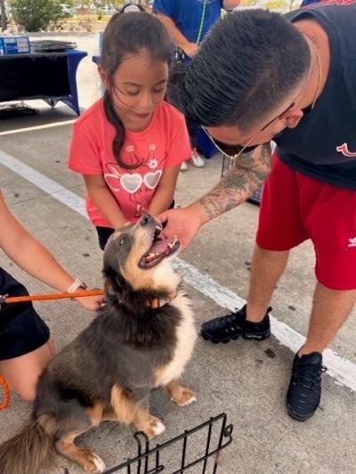 Person reaching down to pet a dog outside in a parking lot, next to a child