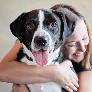 Woman hugging black and white dog