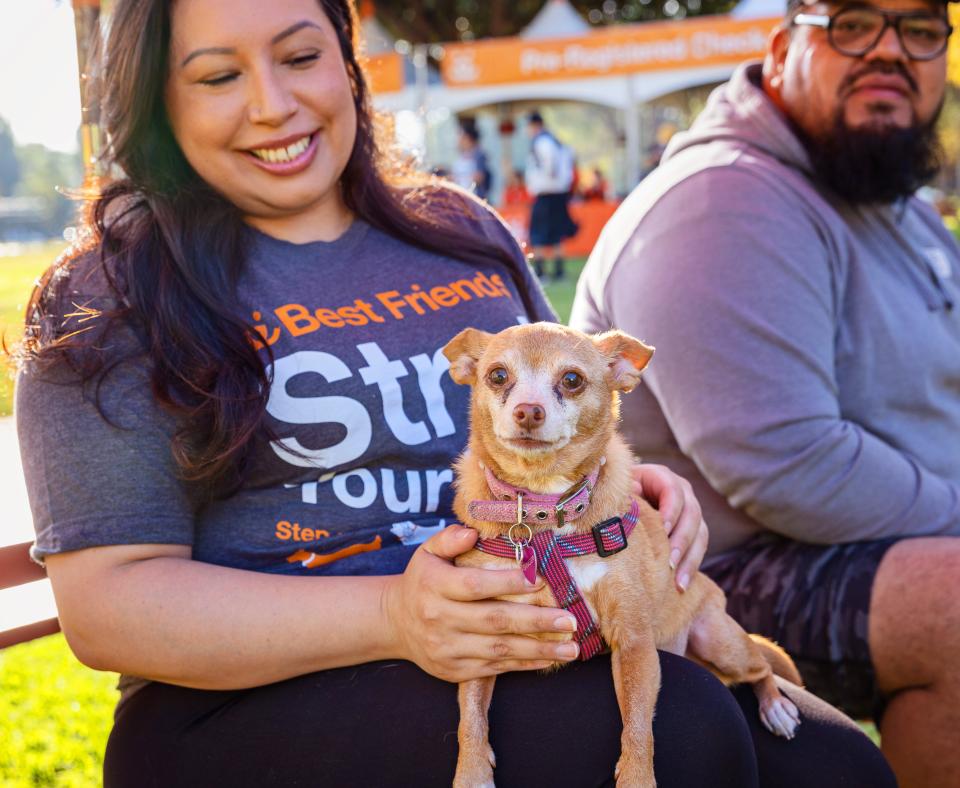 Two smiling people sitting with their small dog at a dog walk event