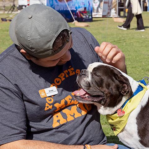 Person petting a black and white dog wearing a yellow bandanna