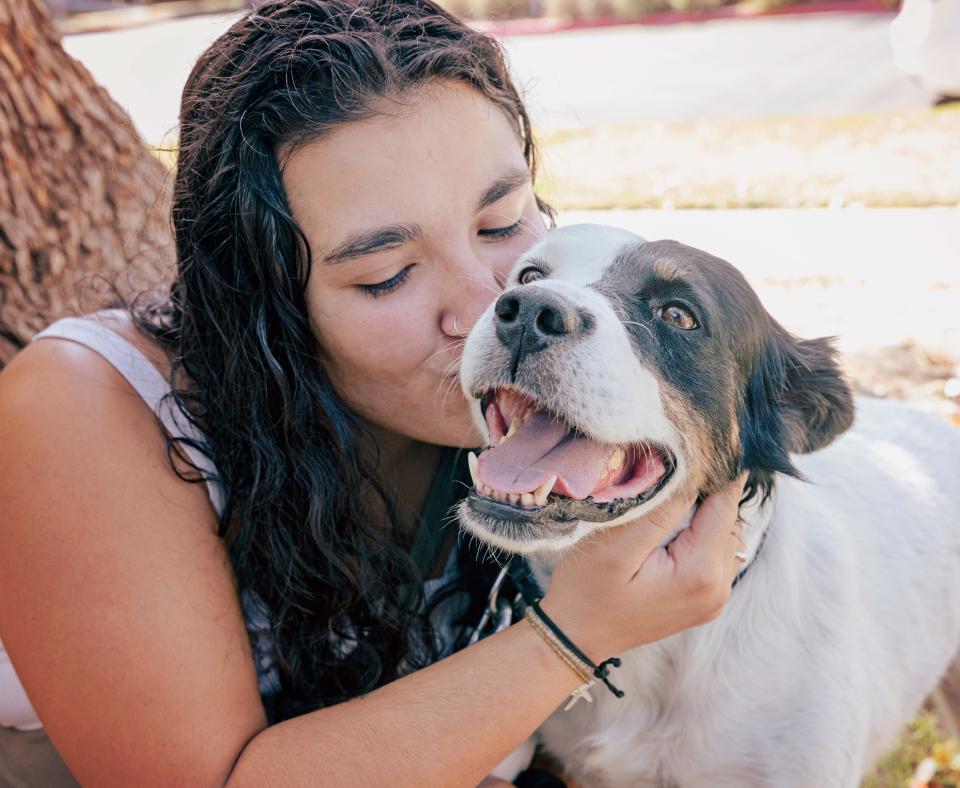 Woman sitting under tree kissing brown and white medium size dog