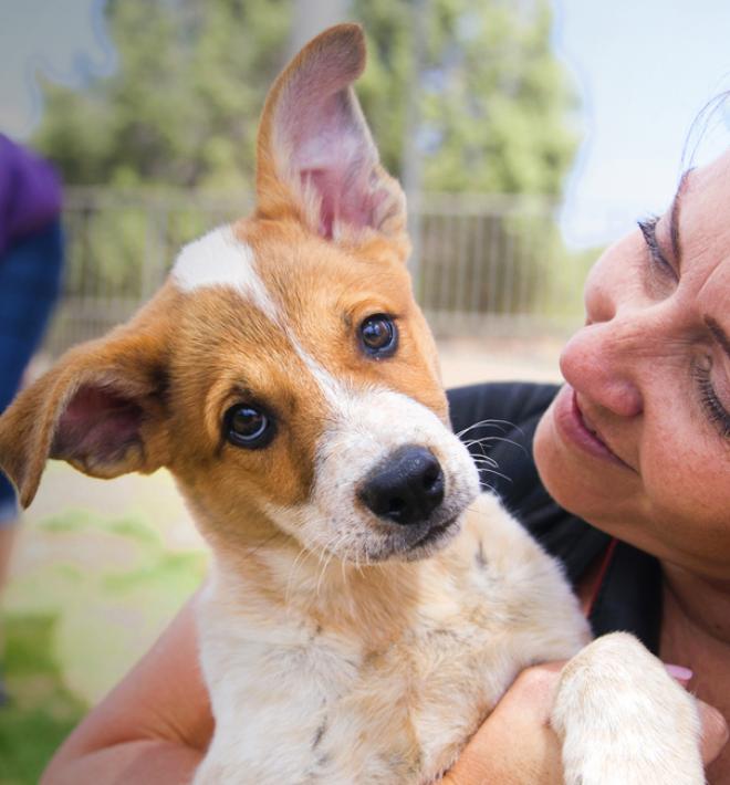 Smiling person holding a puppy at Best Friends Animal Sanctuary