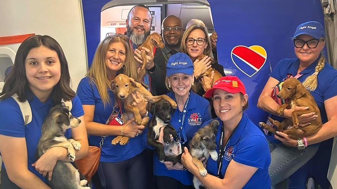 Group of Southwest Airlines Southwest Animal Transport Team (SWATT) members holding puppies beside the open door of an airplane