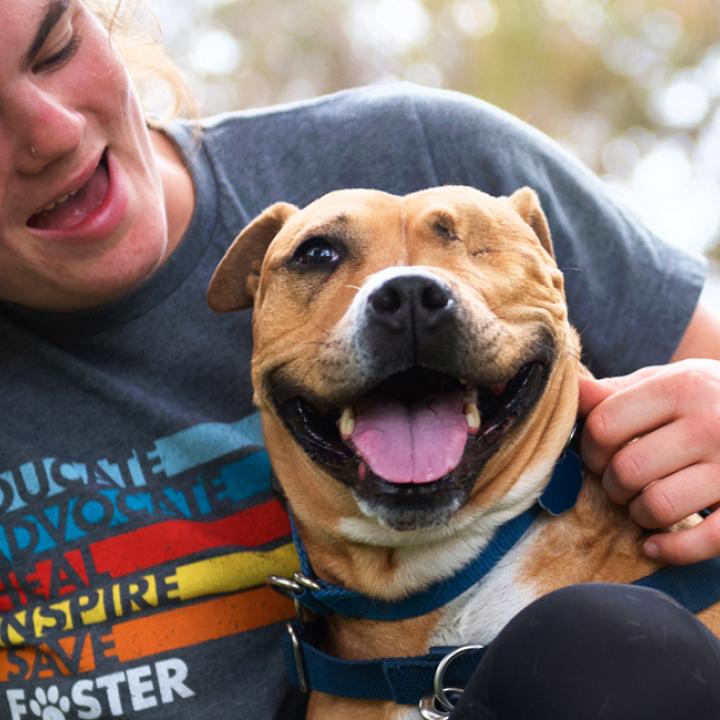 Smiling person relaxing in a grassy spot with a happy dog