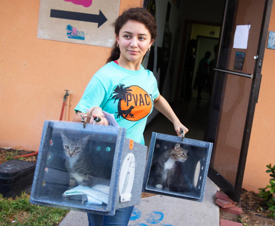 Person holding two boxes containing community cats ready to release