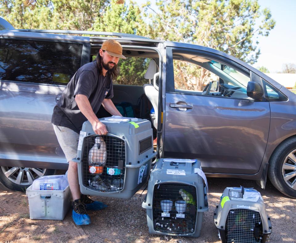 Smiling person next to a parked van moving a pet carrier with a bird in it