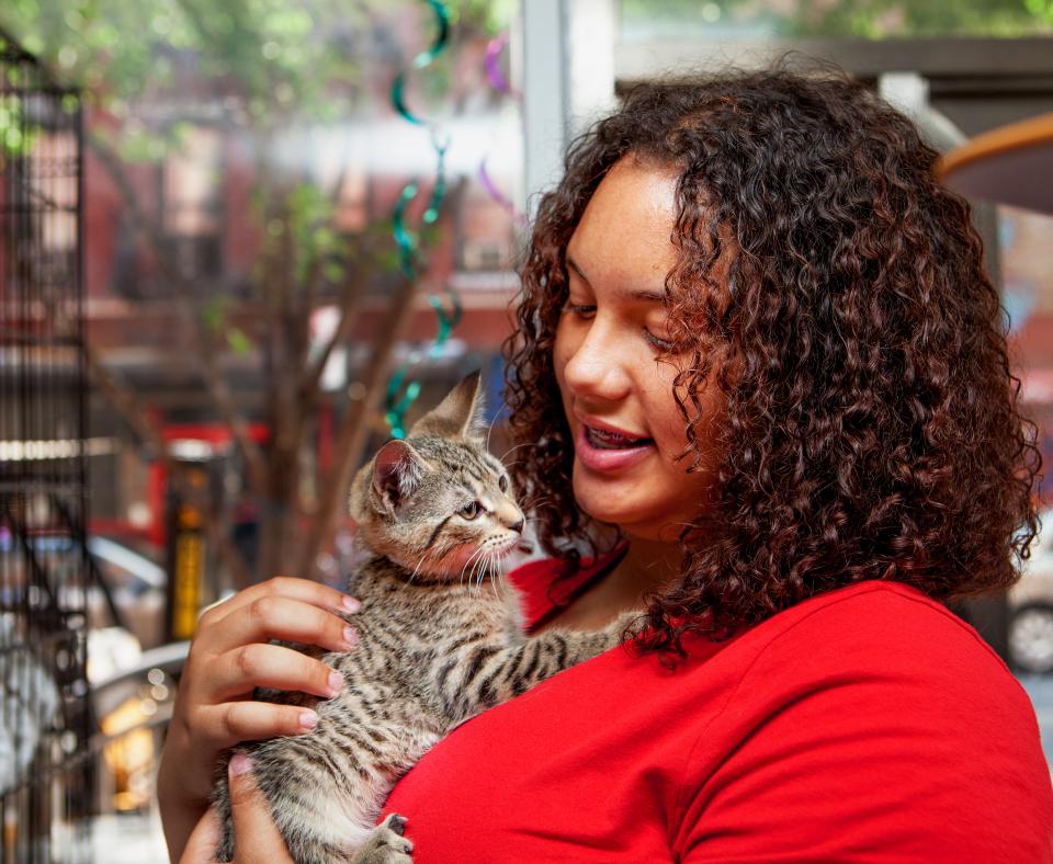 Person holding a tiny kitten at New York City pet adoption event