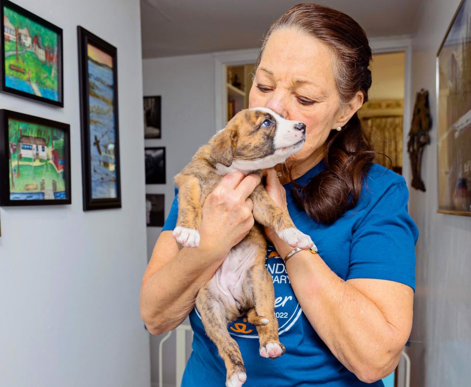 Happy person holding a tiny puppy