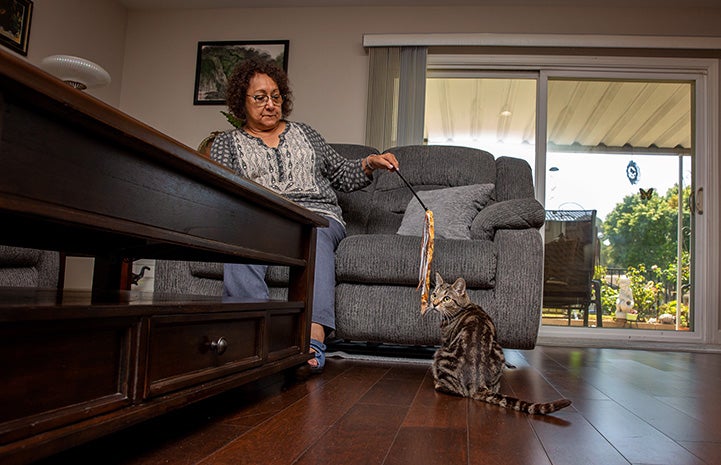 Agnes Chaney sitting on a loveseat playing with a wand toy with Akiri the cat