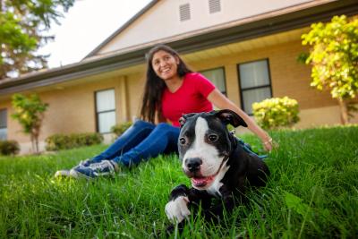 Puppy lying in green grass with a person and home behind him