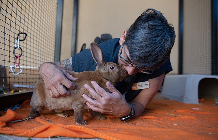 Bunny House caregiver Sondra Lewis hugging Betsy the rabbit